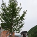 정각산벨리펜션