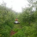 김종화농장 이미지