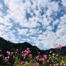 바다에걸린별
