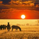 자연과사람 이미지