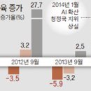 오늘의닭 이미지