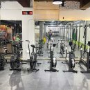 크로스핏엘리펀트 이미지