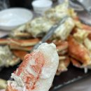 애견왕국 이미지