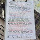 설펜션 | 가평 애견동반키즈펜션, 설레인풀빌라 내돈내산후기