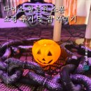 다이소 할로윈 소품 쇼핑 후기 및 추천템 정리