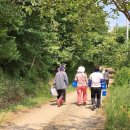 하범곡마을 이미지