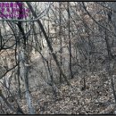 지방도905호선1 이미지