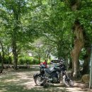 용전숲 공중화장실 이미지