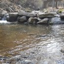 녹색향기 펜션 이미지