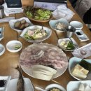 창해물회 점심 후기｜모듬회 소자 + 물회(회덮밥) 2인 4인가족 점심 내돈내산