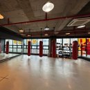 용인대SH복싱 이미지