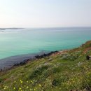 오드리하우스 이미지