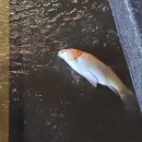 행복한 스푼 이미지