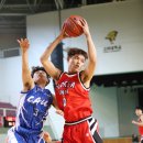 호랑이 체육관 이미지