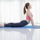 다이어트댄스(야간) 이미지