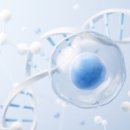 메디라움의원 이미지