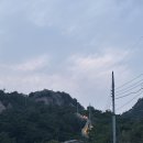 그린파파야향기 | 평가와 판단의 지연, 유예 / 시선의 너비, 관대함을 즐기시길