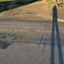 주교약국 이미지