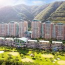 홍천해당화 이미지