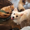 천산카페 이미지