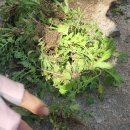 구불2길(햇빛길) 이미지