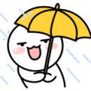 빛남매네헬시푸드