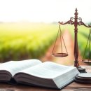 2024-2025 손해평가사 1차 이론강의_1과목 상법 중 보험편 | 손해평가사 1차 상법 보험편 핵심 요약 및 과락 면하는 법 80점 고득점으로 가는 지름길