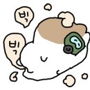 쥬라기체험
