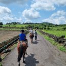 제주조랑말타운 이미지
