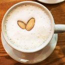 토끼를따라간앨리스 이미지