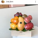 프룻팜 이미지