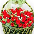 늘푸른소리 농장 이미지