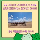 낙타 | 몽골 고비사막 낙타체험 후기! 준비물 총정리(검정 레깅스 절대 입지 마세요)