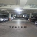 목화(2차) 이미지