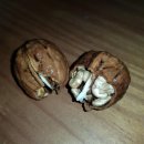 신령단위농업협동조합 이미지