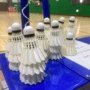 시랑생활체육관 | 안산 상록구 부곡동 배드민턴장 시랑체육관 주차정보, 방문후기