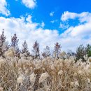 청계산수변공원 이미지