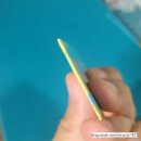 서재 흰둥이네 이미지