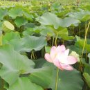 성호농장2 이미지