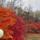 수라모텔 이미지