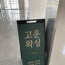 고운왁싱 이미지