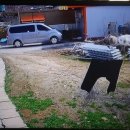 대근농장 이미지