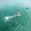 특별편) 🏝️ 제주도는 진짜 한 편에 다 쓸 수 있을 줄 알았는데 (1편)