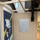 고양이는외계인 | 아디다스 퍼포먼스 서촌🏃‍♂️🌸😻땡큐❣️경복궁 고양이 런