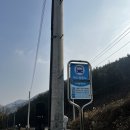 봄펜션 | [전남/여수] 돌산 가성비 좋은 분위기 있는 애견동반 오션뷰 펜션 다시봄펜션 솔직 리얼 후기