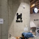해브잇