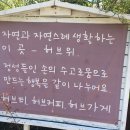 허브위