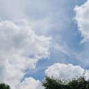 유림산장 이미지