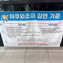 11500-19-50-11 | 남양주 미니 워터파크 아쿠와조이 6살 아이와 방문 후기ㅣ주차장 지름길,수모 필수여부,꼭 챙겨야할 준비물