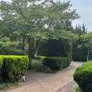 노고롯1985